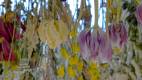 PXL_20260417_000225238 (1)